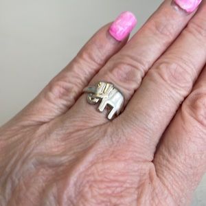 Elephant ring
